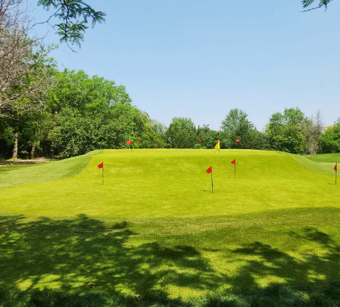 Golf course synthetic grass